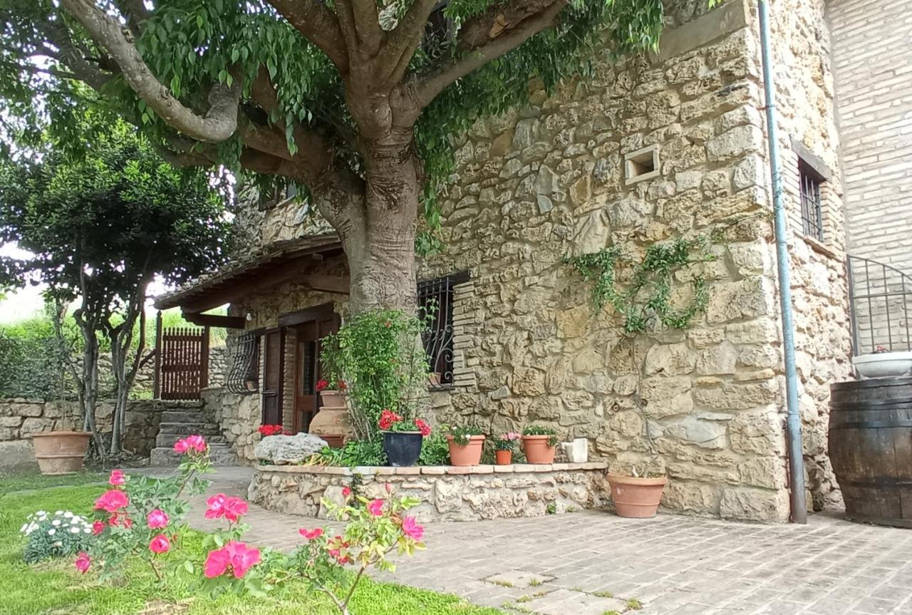 All'Ombra Di San Damiano Assisi Eksteriør bilde