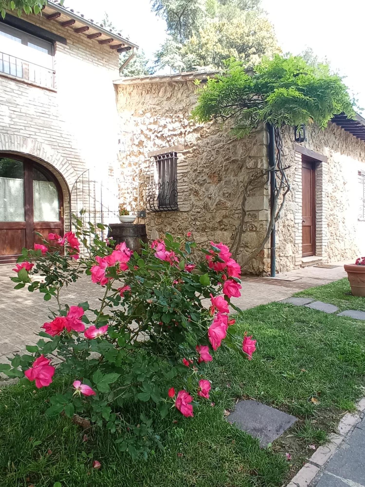 All'Ombra Di San Damiano Assisi Eksteriør bilde