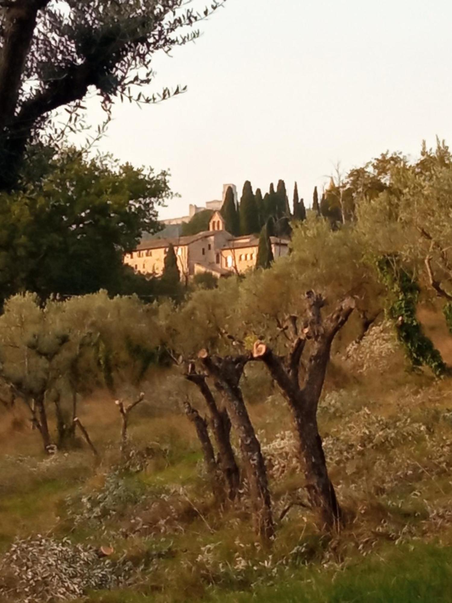 All'Ombra Di San Damiano Assisi Eksteriør bilde