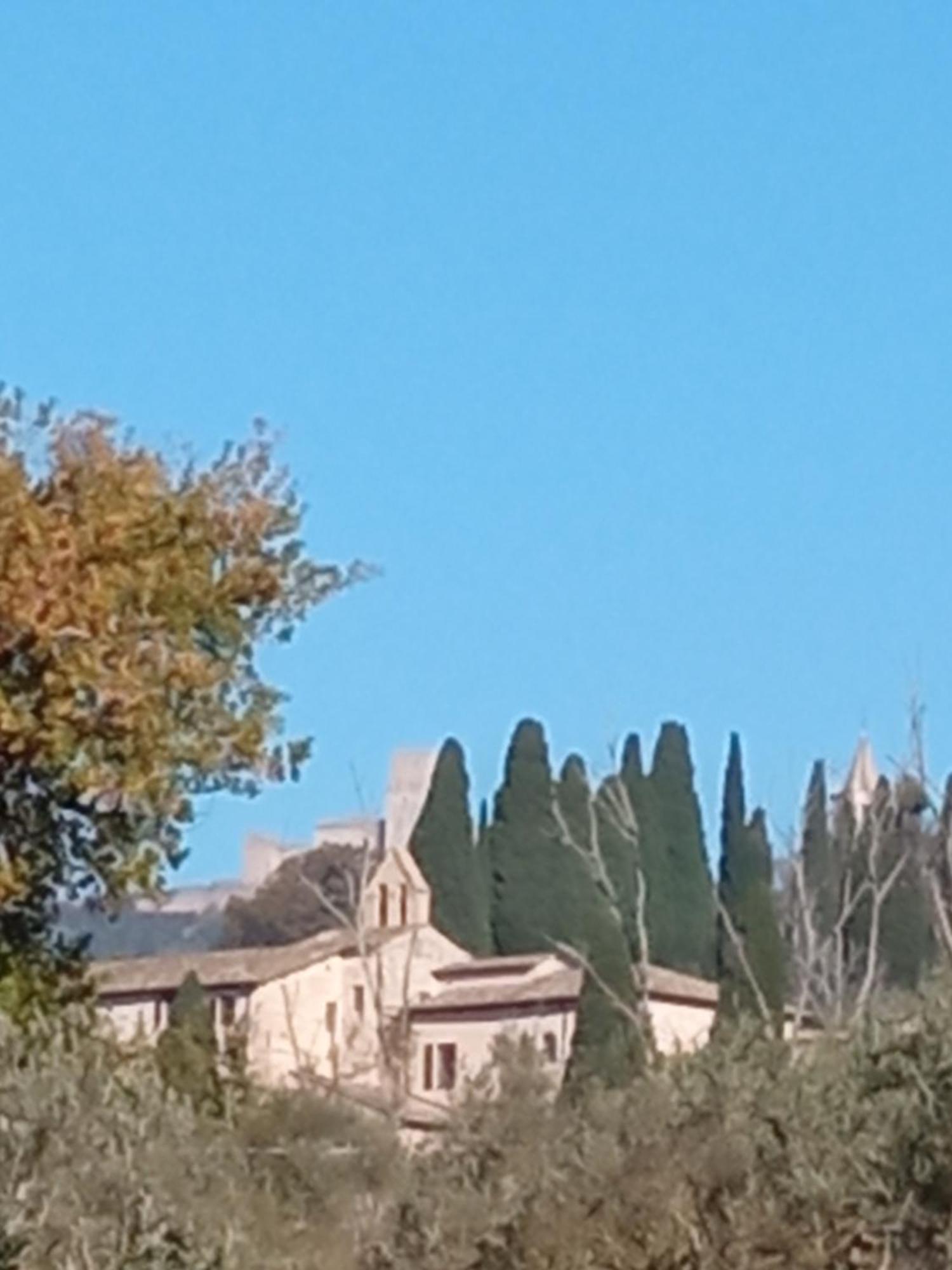 All'Ombra Di San Damiano Assisi Eksteriør bilde