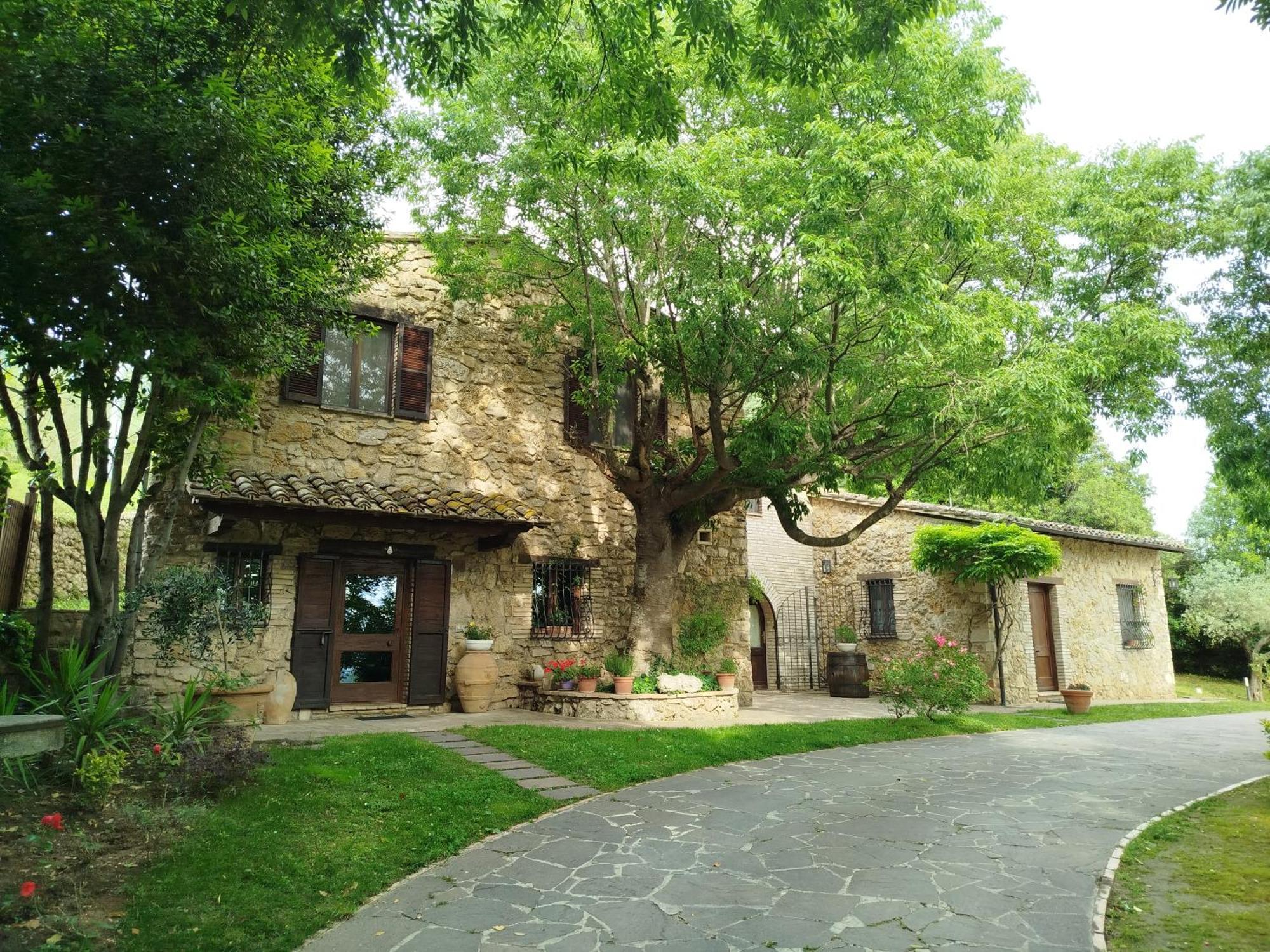 All'Ombra Di San Damiano Assisi Eksteriør bilde